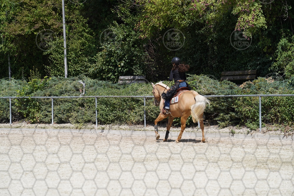 A7_08981.JPG